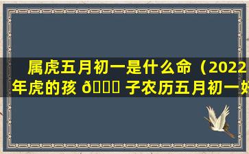 属虎五月初一是什么命（2022年虎的孩 🐋 子农历五月初一好吗）